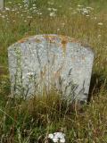 image of grave number 113026